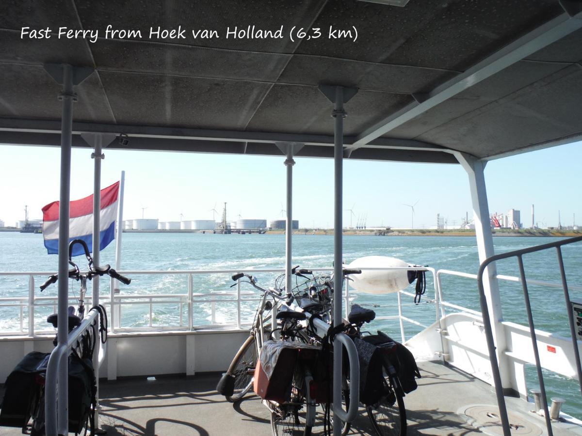 Dutchduochalet37 s-Gravenzande Eksteriør billede